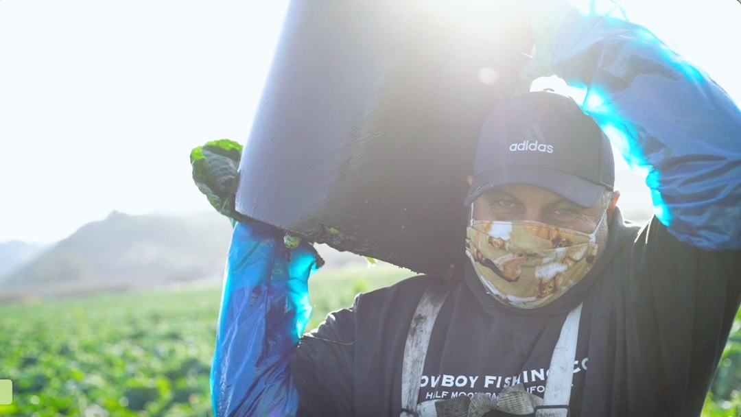 Bay Area Bountiful: ALAS Half Moon Bay