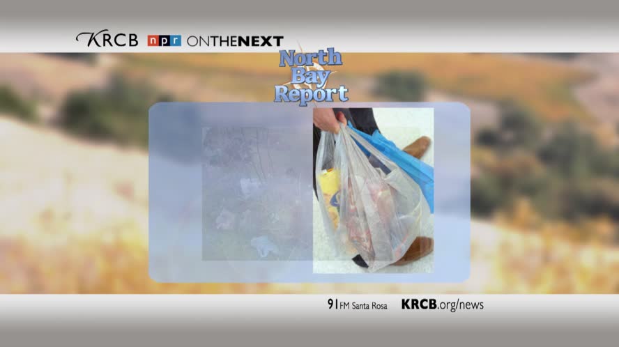 Plastic Bags