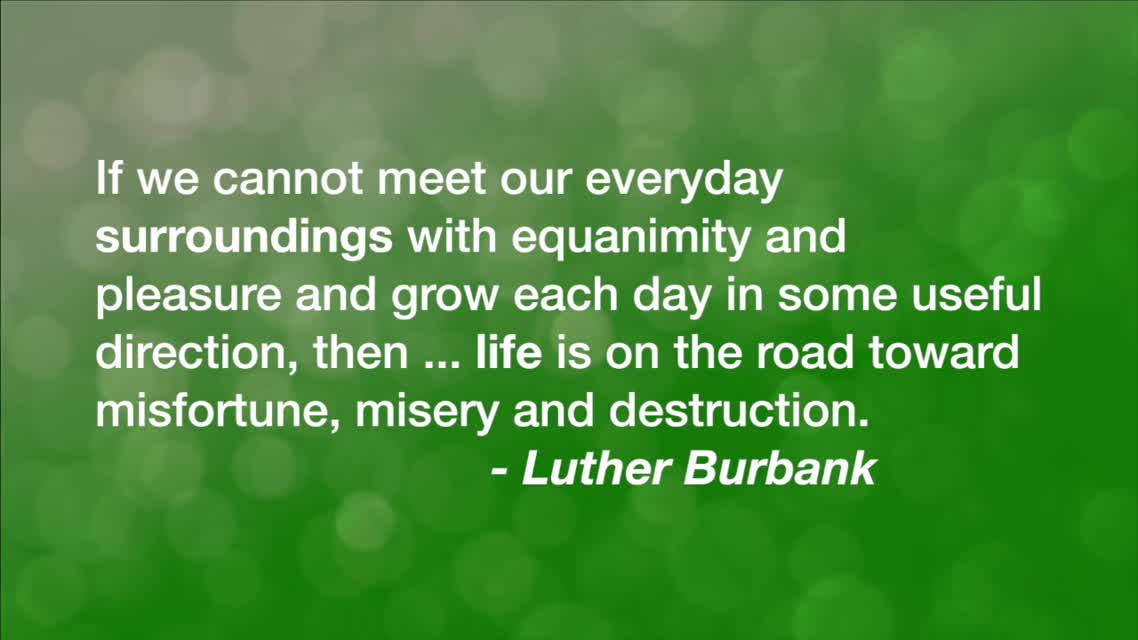 If We Cannot Meet Our Everyday...