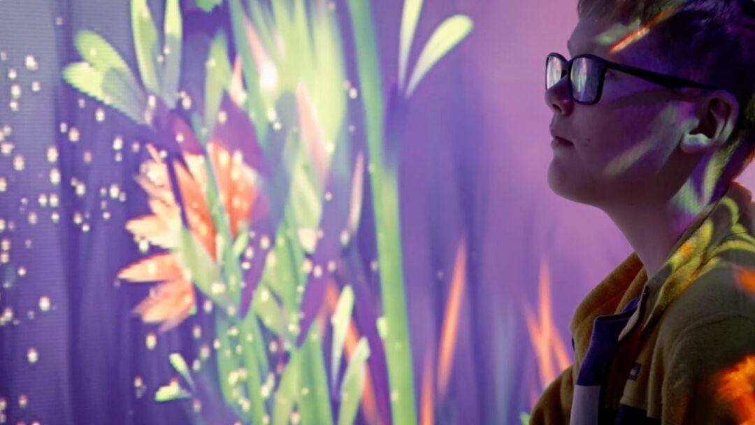 Connect The Bay: AI Dream Garden