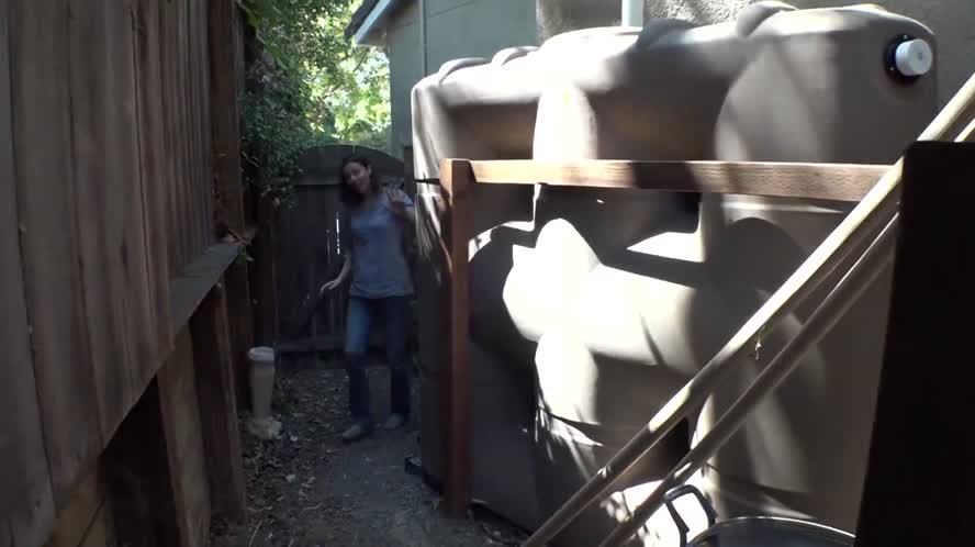 Bay Area Bountiful: Landscape of Opportunity