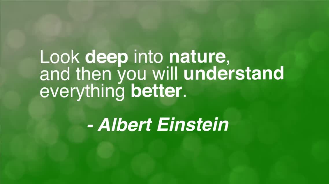Look deep into nature